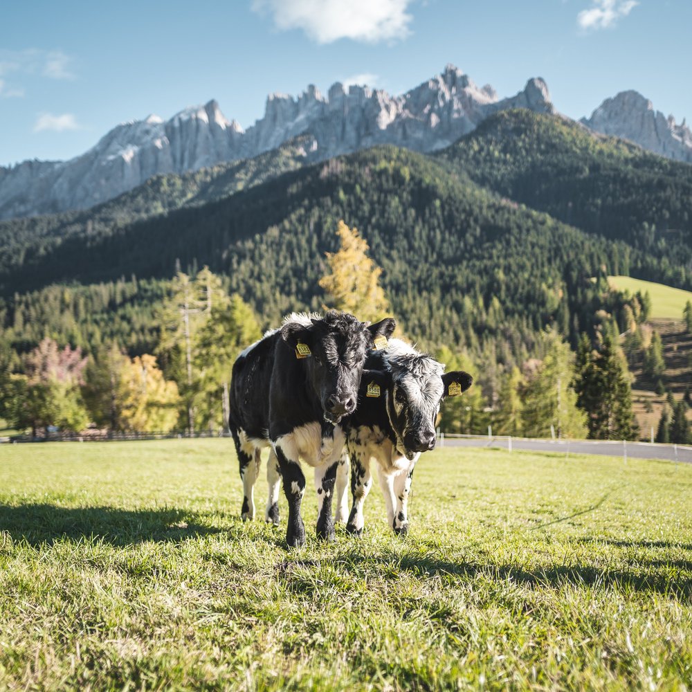 Philosophie: Naturhotel in den Dolomiten