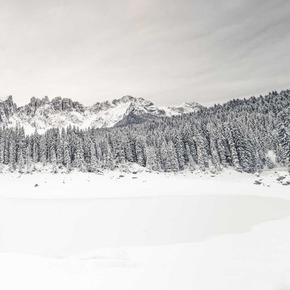 Alberghi al Lago di Carezza: l’Alpenrose