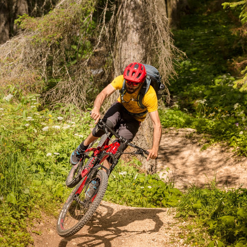 Alpenrose + mountain bike + Val d’Ega = ♥