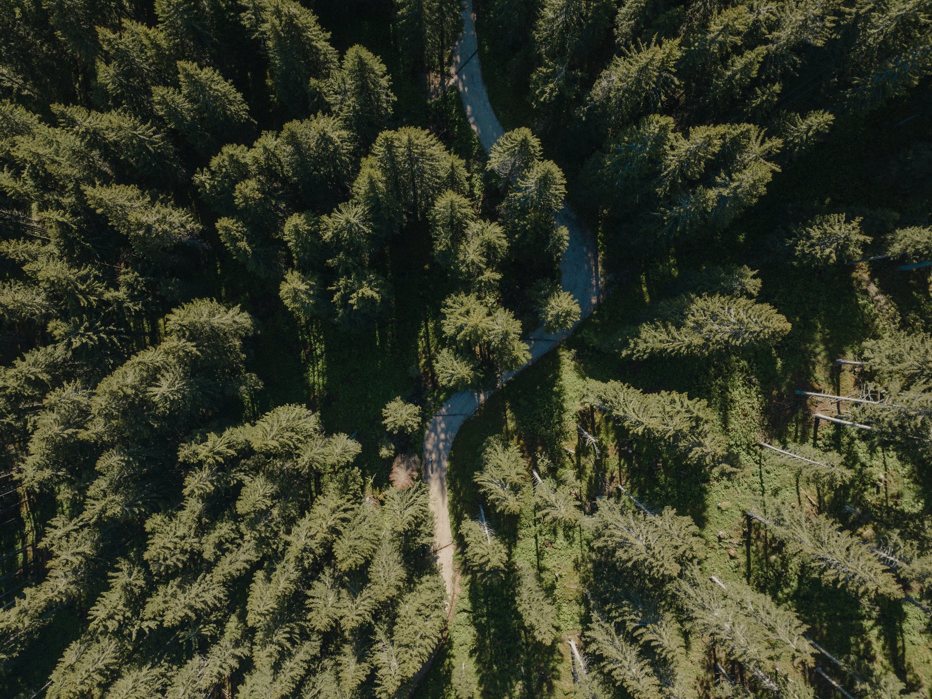 The most beautiful photos from our hotel in the Dolomites