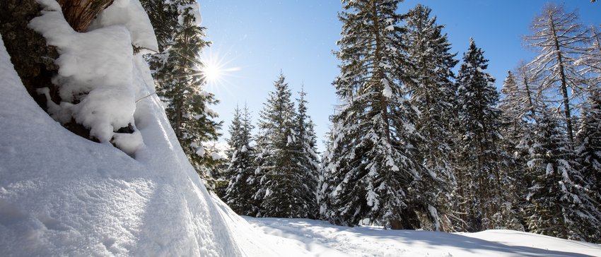 Benvenuti nel vostro golf hotel al Passo Costalunga