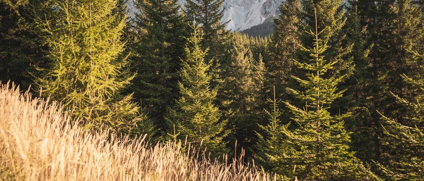 Wellness in the Dolomites