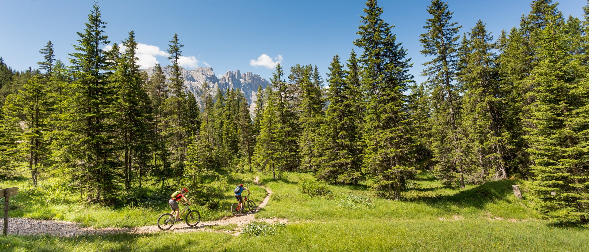 Auf zwei Rädern durch Südtirol: MTB-Strecken für jedes Können