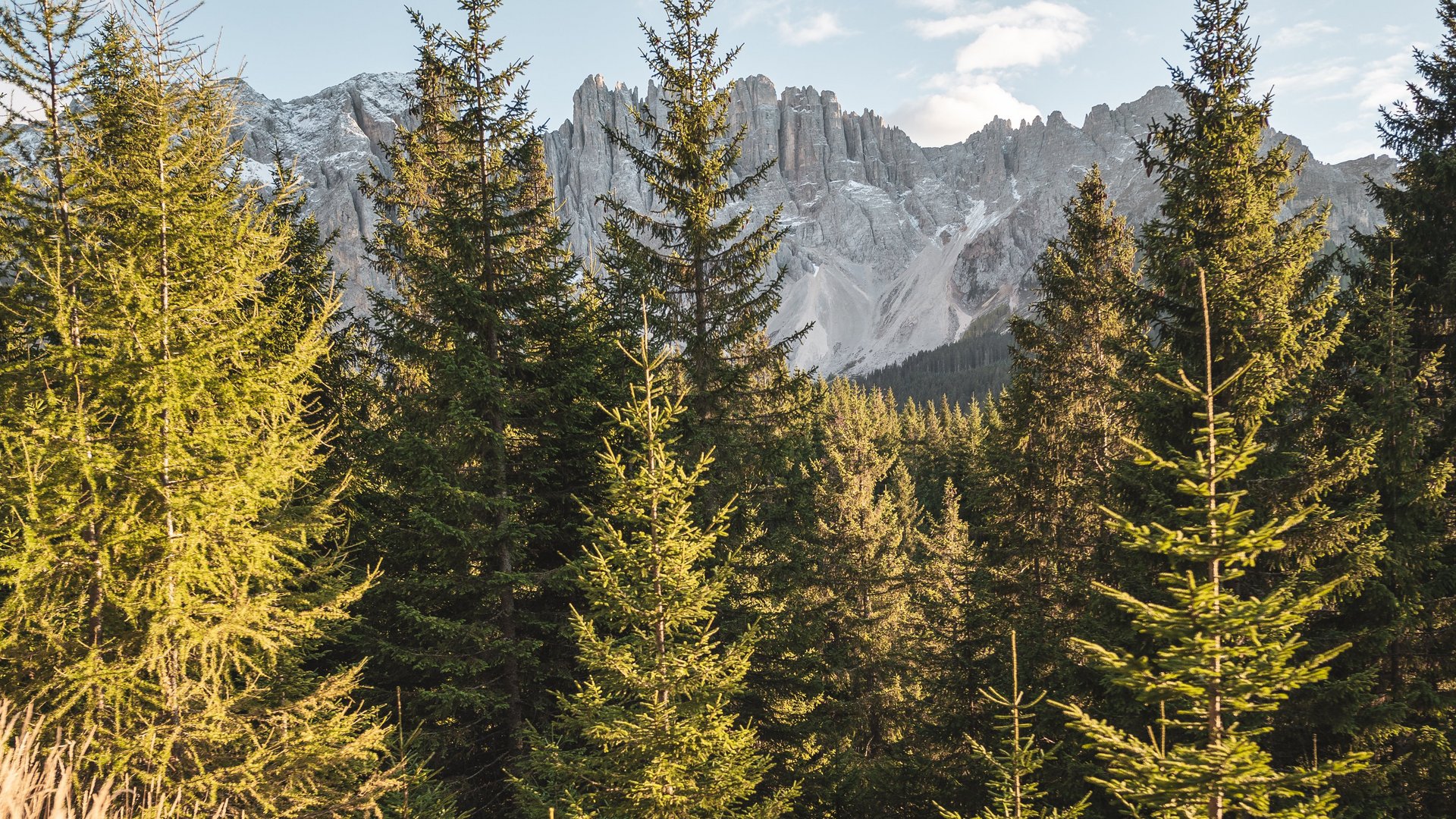 Philosophie: Naturhotel in den Dolomiten