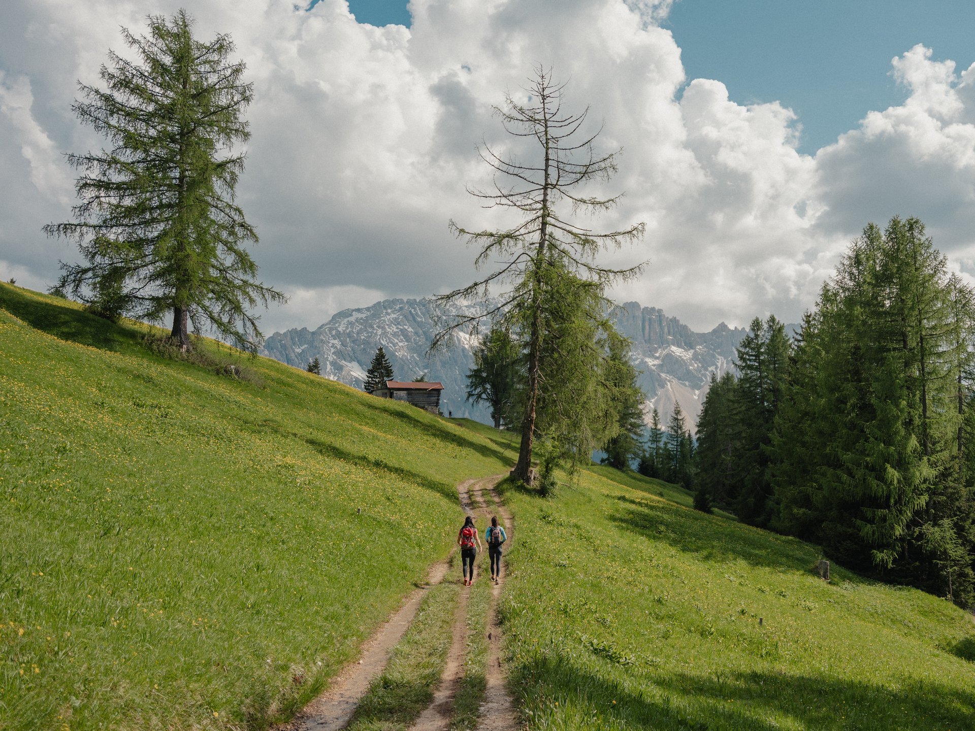 The most beautiful photos from our hotel in the Dolomites