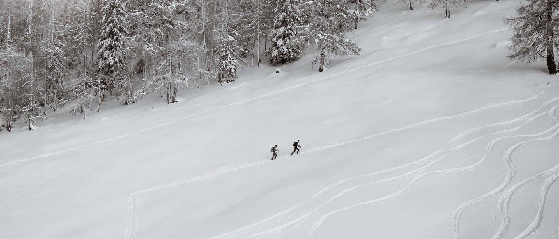 Snowshoeing and ski tours in Val d’Ega/Eggental