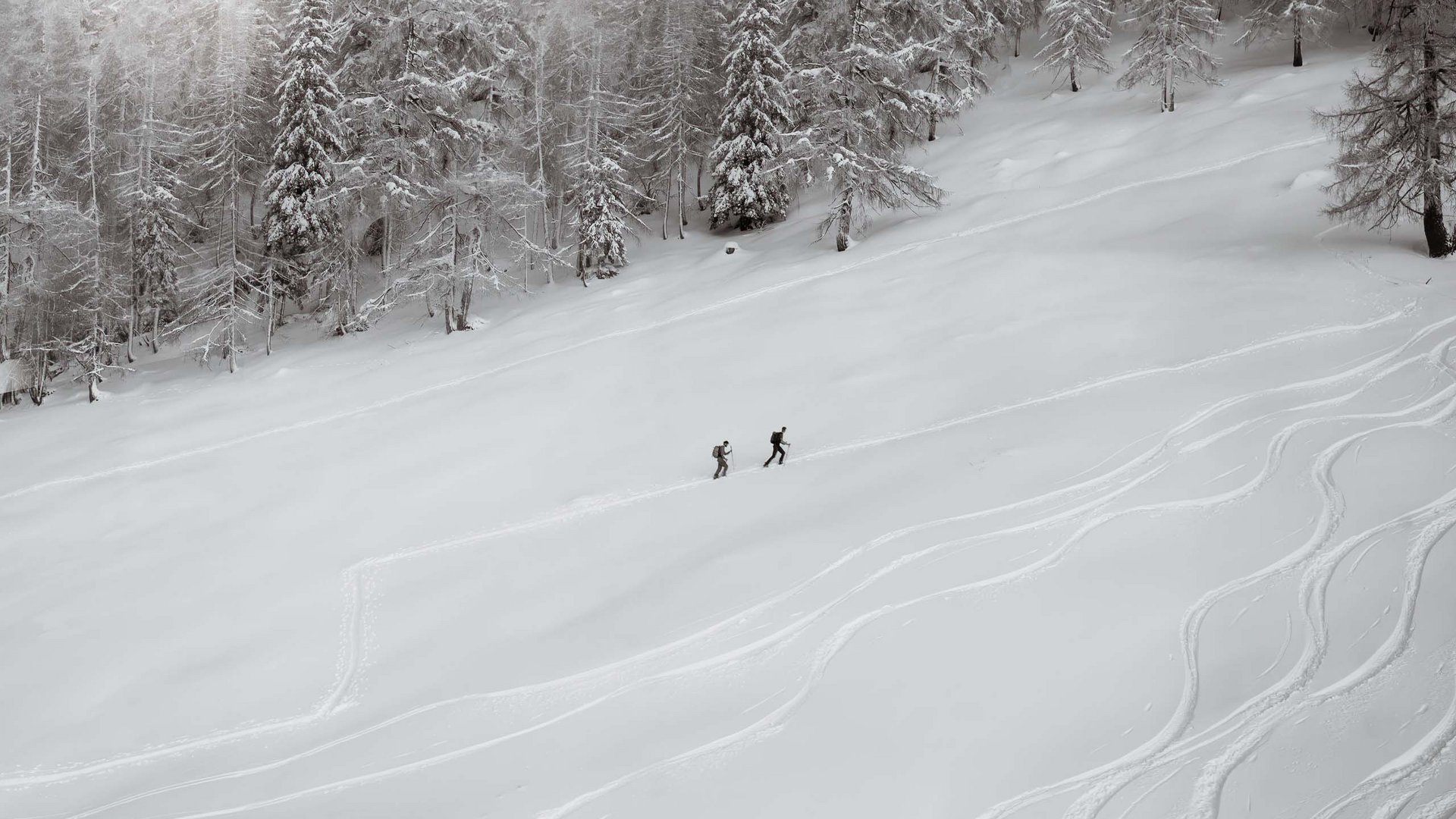 Alpenrose: sport e yoga in Alto Adige