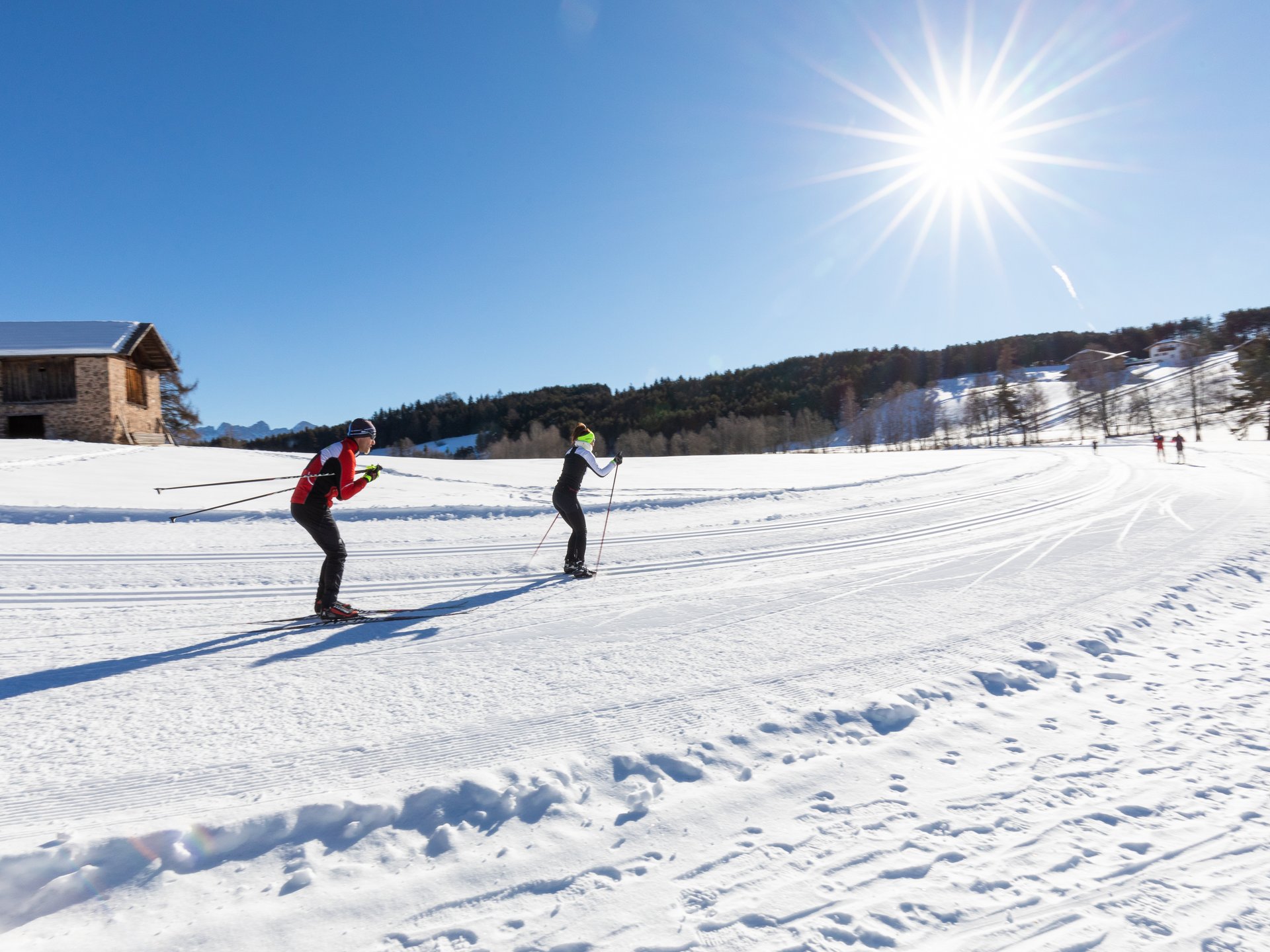 Le più belle piste di slittino e sci di fondo della Val d’Ega