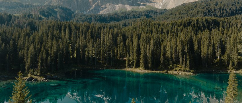 The most beautiful photos from our hotel in the Dolomites