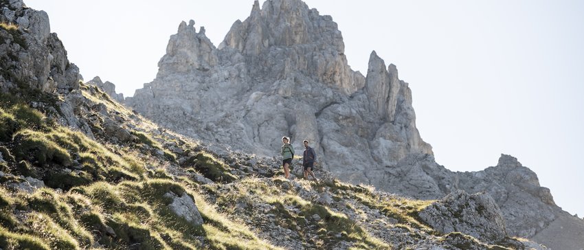 Social: Alpenrose, lago, Gruppo del Catinaccio...