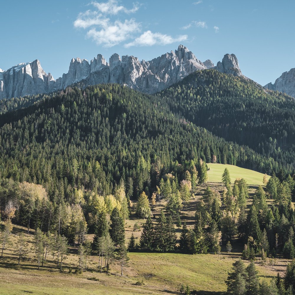 Alpenrose: Your hotel at Lake Carezza/Karersee