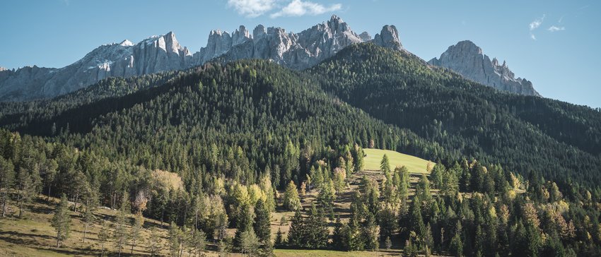The natural cuisine of our natural hotel in South Tyrol